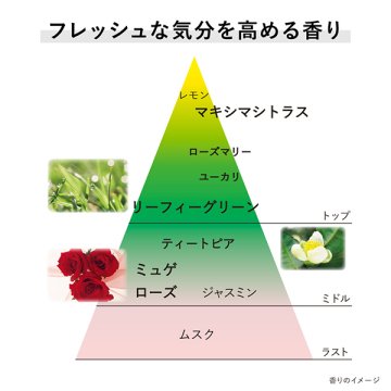 Renewal Cream in Day II SPF30 PA+++ Main unit 40g