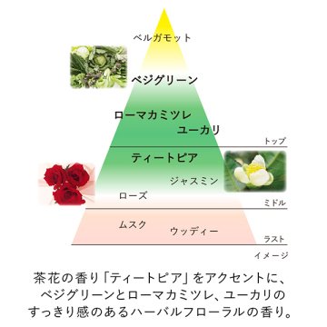 Kanebo Skin Harmonizer Set / 180mL, 4g